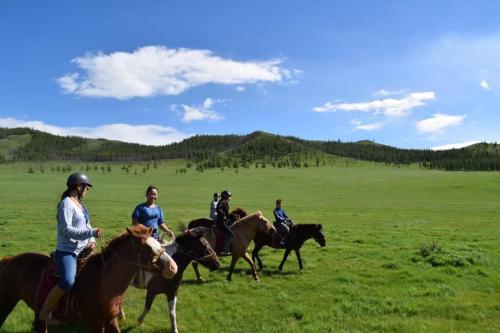 eine Gruppe von Menschen, die auf einem Feld reiten in der Unterkunft Dream Adventure Mongolia in Nalayh