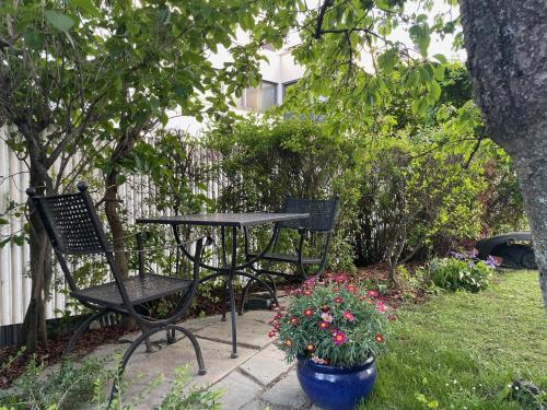 Ein Garten an der Unterkunft Herrlicher Ausblick über Wien