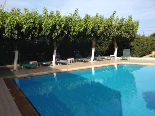 a swimming pool with chairs and a row of vines at Keti Apartments in Adelianos Kampos