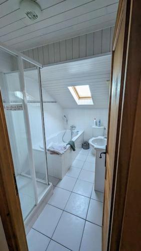 une salle de bain avec une douche, des toilettes et un lavabo dans l'établissement Thollon Appt 8 pers à 50m a pied du télécabine, à Thollon-les-Mémises