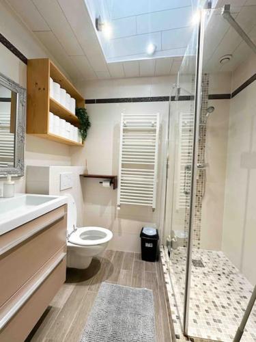 une salle de bain avec toilettes et douche en verre dans l'établissement La chaumière de Walt : Petite maison proche Disney, à Bussy-Saint-Georges