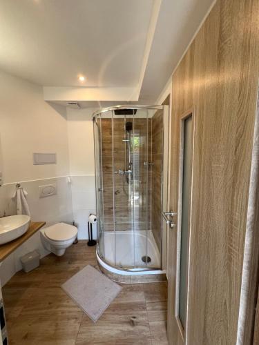 uma casa de banho com um chuveiro e um WC. em RK Apartment em Brno