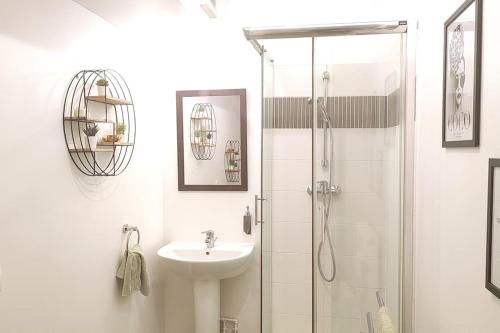 ein weißes Bad mit einem Waschbecken und einer Dusche in der Unterkunft Charmant studio à 15 min de Paris in Juvisy-sur-Orge