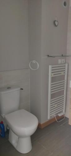 a bathroom with a white toilet in a room at Bordl'o in Aurec-sur-Loire