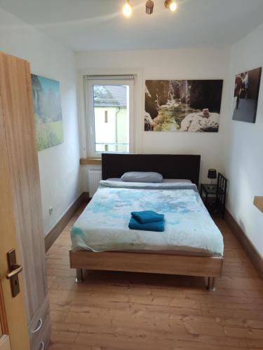 バート・ナウハイムにあるProtea Inn Ferienwohnungenのベッドルーム1室(青いシーツと窓付)