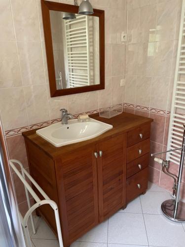 une salle de bain avec un lavabo et un miroir dans l'établissement Joli studio indépendant et jardin, à Saint-Prix