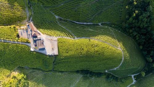 an aerial view of a house in a field at Ameztoi Experience in Getaria