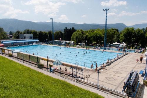 ein großer Swimmingpool mit Menschen darin in der Unterkunft ArtRock Studio in Radovljica
