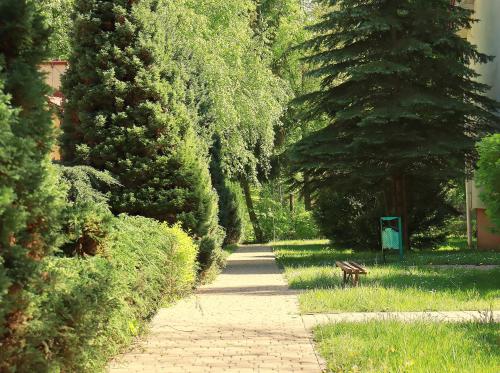 Hotel Nad Mrogąにある庭