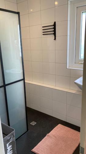 a bathroom with a shower and a sink at Logement 1860 in Nieuw-Amsterdam