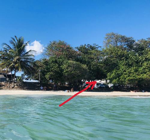 Face à la Plage avec Parking Sécurisé Appartement de Luxe ou Suite Privée avec Coin Petit Déj selon Disponibilité