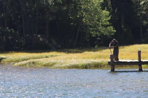 a person standing on a dock in the water at Chalet vue imprenable sur lac et pistes in Les Angles