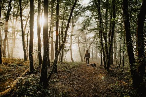 a woman walking her dog on a trail in the woods at Hotel Cornelyshaff in Heinerscheid