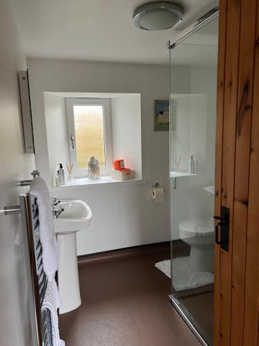 a bathroom with a sink and a toilet and a mirror at Eviedale Cottages in Evie