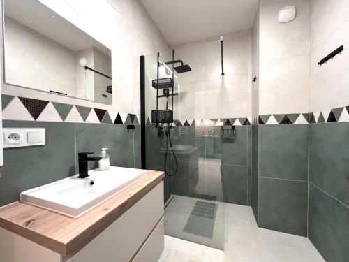 W łazience znajduje się umywalka i prysznic. w obiekcie Baltic Line - Zielona Wyspa w mieście Sobieszewo