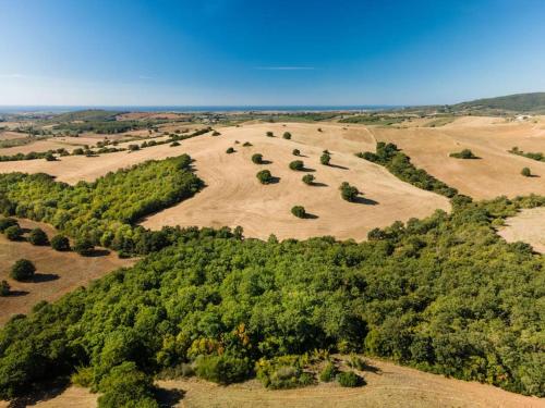 an aerial view of an open field with trees at Villa Renaissance: in Maremma, vicina al mare in Pescia Fiorentina