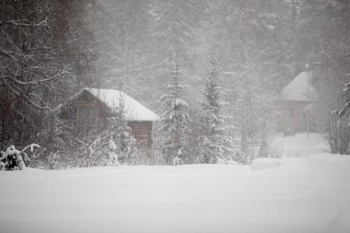 a snow covered yard with a house and trees at Gemütliche Blockhütte mit Außentoilette und Badezimmer im Haupthaus in Jörn