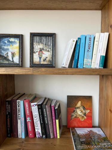 a book shelf filled with books and pictures at Balkonum Luxury Guest House in Gosh
