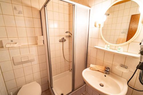a bathroom with a shower and a sink and a toilet at Schwarzwald Hotel Wiedenerhof in Wieden