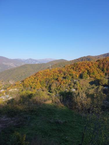 an autumn view of a hill with trees on it at Balkonum Luxury Guest House in Gosh