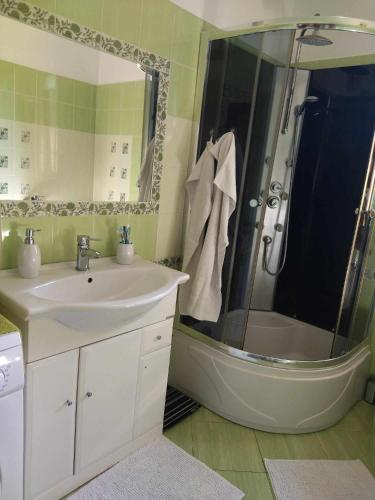 a bathroom with a sink and a shower with a tub at Vila Flower 
