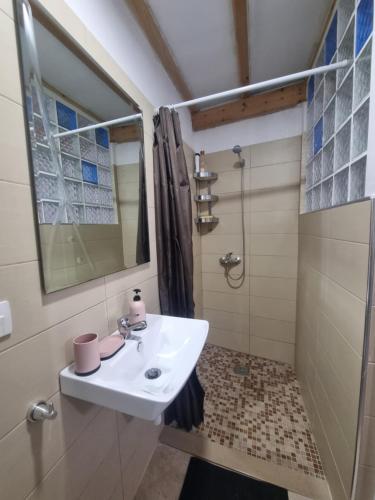 a bathroom with a sink and a shower at Villa Olive Old Qeparo in Qeparo