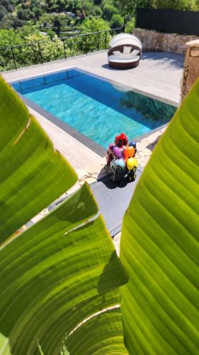 un jouet assis à côté d'une piscine dans l'établissement Villa Alina, un havre de paix, à Cagnes-sur-Mer