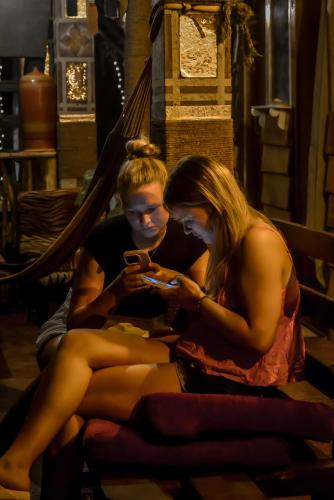Gäste, die in der Unterkunft Hostal Tree House übernachten