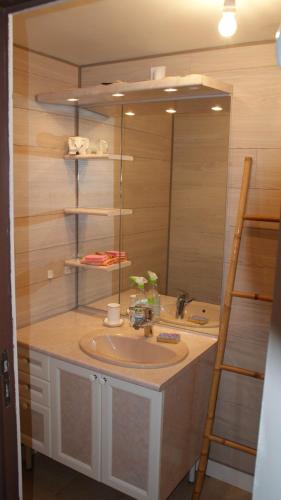 une salle de bain avec un lavabo et un miroir dans l'établissement Chouette, à Royan