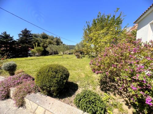 House Draga Accommodation