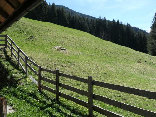 a fence on top of a grassy hill with trees at Berghütte in Tirol in Lager Walchen