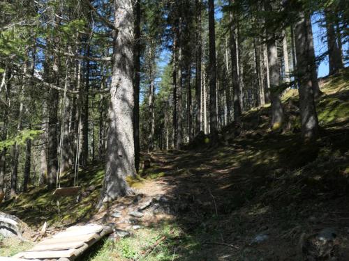 a wooden path in a forest with trees at Berghütte in Tirol in Lager Walchen