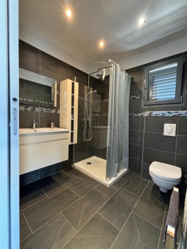 une salle de bain avec une douche, des toilettes et un lavabo dans l'établissement Studio, piscine, 10 min des plages, Ajaccio, corse du sud,, à Appietto