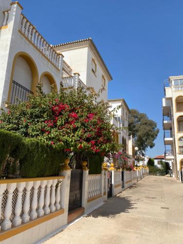 Apartament SUN Paradise Torrevieja Molino Blanco photo 16