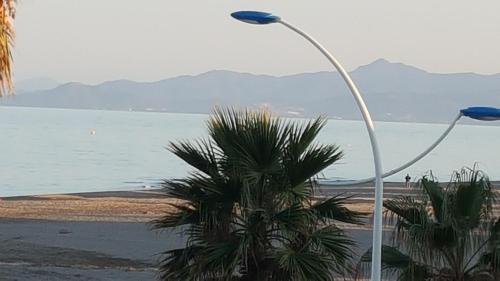 a street light with a palm tree in front of the water at Chambres d'hôtes Un Eté Sans Fin à 50 m de la plage à Canet plage in Canet-en-Roussillon