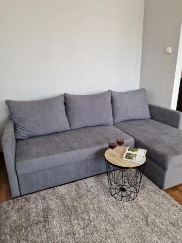 a grey couch in a living room with a table at Mieszkanie wakacyjne in Ruciane-Nida