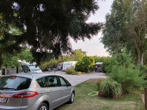 Taman di luar Campingrosengarten