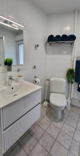 une salle de bain blanche avec des toilettes et un lavabo dans l'établissement Le Boisclary, à Boissy-Saint-Léger