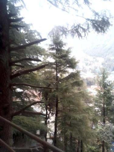 uma vista para uma floresta de pinheiros em Himalayan Hostel em Dharamshala