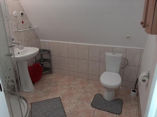 a bathroom with a toilet and a sink at Domki nad potokiem w Baligrodzie in Baligród