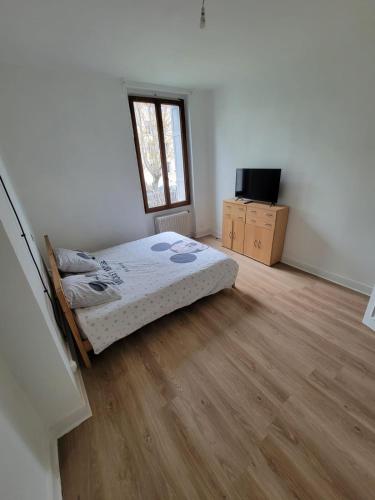 une chambre avec un lit et une télévision dans l'établissement Chambres spacieuses hyper centre, à Saint-Étienne