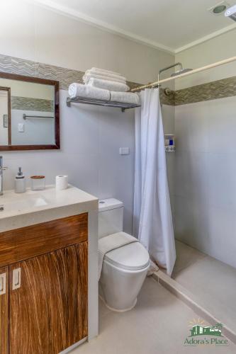 a bathroom with a toilet and a sink and a shower at Adora's Place in Coron