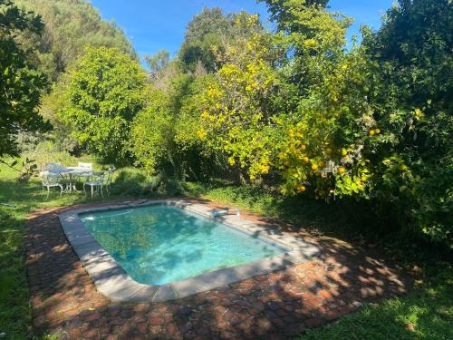 a swimming pool in the middle of a garden at The Riverdeck Accommodation and Backpackers in Knysna