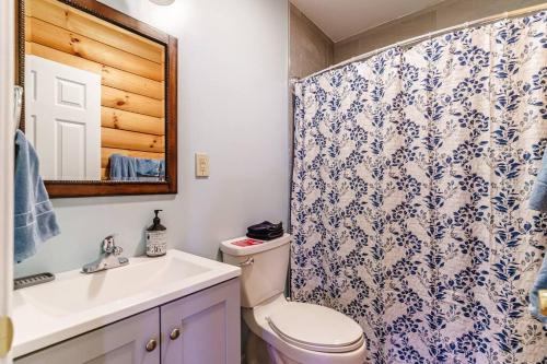 un bagno con un water, un lavandino e uno specchio di Balk Oasis, Mountain Views,Rustic, HotTub a Stanley
