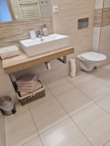 a bathroom with a sink and a toilet at Apartmán Eliášova in Česká Lípa