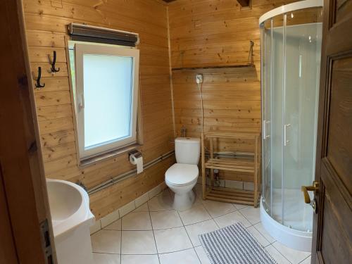 a bathroom with a toilet and a sink and a shower at Chatka pod Świerkami in Baligród