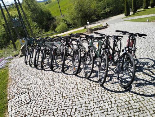 Une rangée de vélos alignés dans une rangée dans l'établissement Domki na Zapotocu, à Grywałd