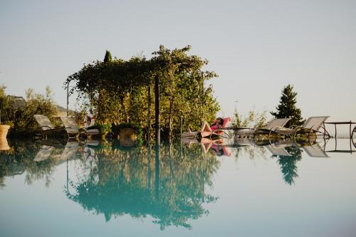 a pool of water with chairs and trees in it at Il Falconiere Relais & Spa in Cortona