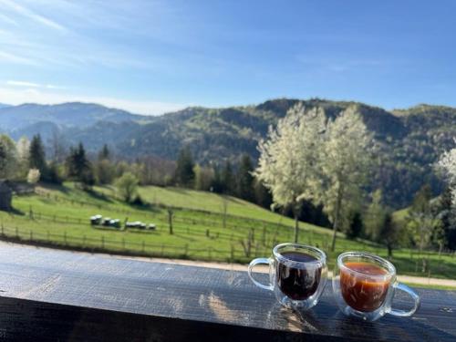 twee kopjes koffie op een richel met uitzicht op een veld bij Pensiunea Agroturistica Acvila Apusenilor in Vadu Moţilor