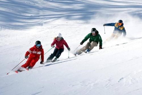 Attività di sci presso lo chalet o nelle vicinanze